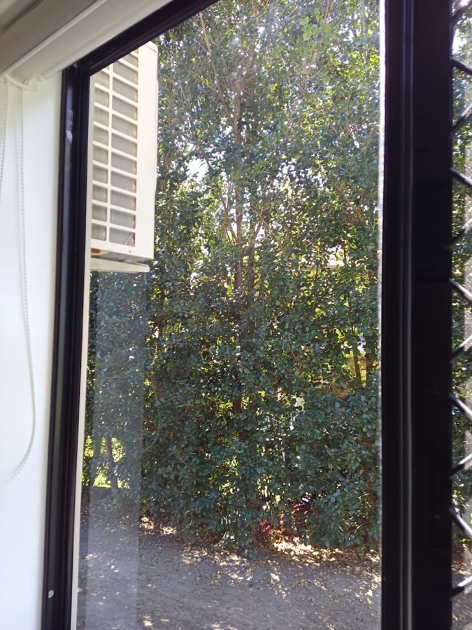 A window with water droplets on the glass and trees reflected in it