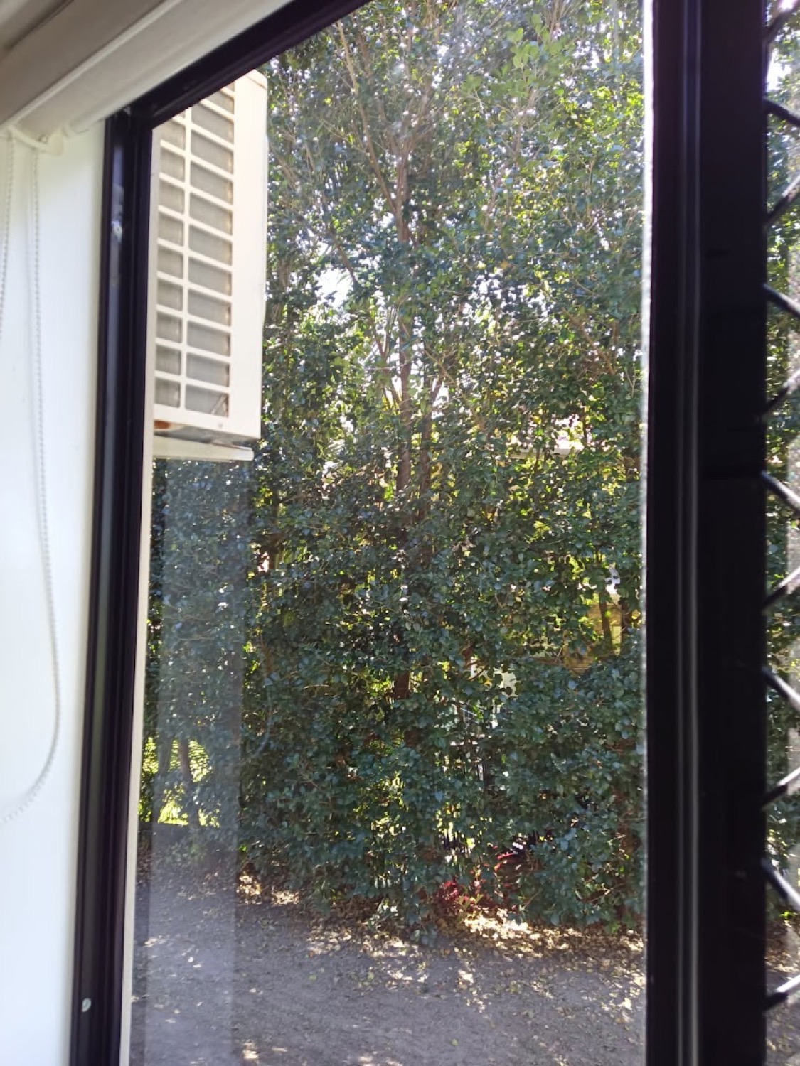 A window with water droplets on the glass and trees reflected in it